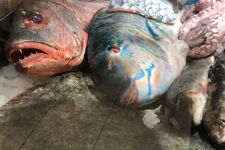 frech fish